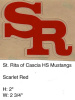 St. Rita of Cascia Mustangs HS 2012-2013 (IL) 